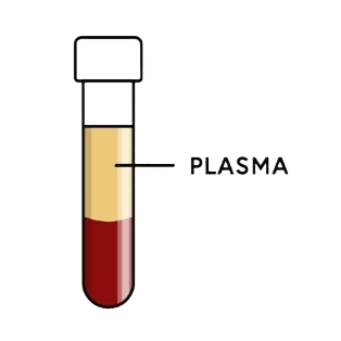 Isolation du plasma riche en nutriments