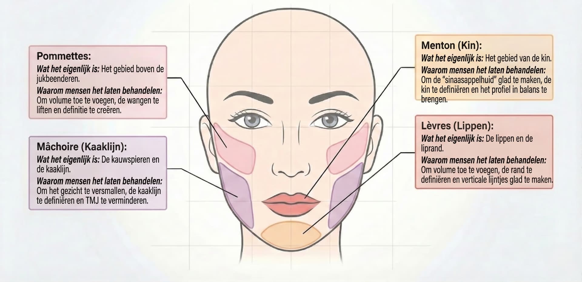 Karte der Hyaluronsäure-Behandlungszonen